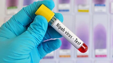 কেরালায় নিপাতে মৃত আরও এক