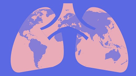 ছবি প্রতীকী