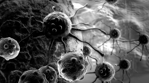 ছবি প্রতীকী