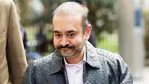 নীরব মোদী