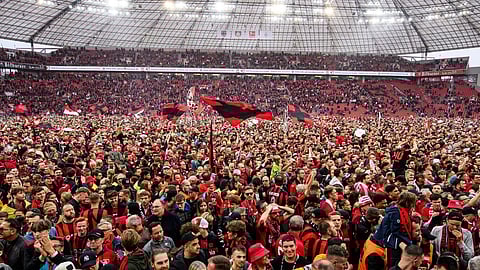 বে এরিনাতে সমর্থকদের উচ্ছ্বাস