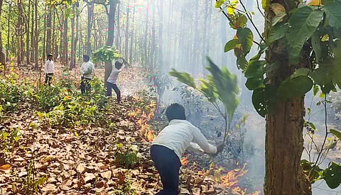 দাউ দাউ করে জ্বলছে সোনামুখীর জঙ্গল