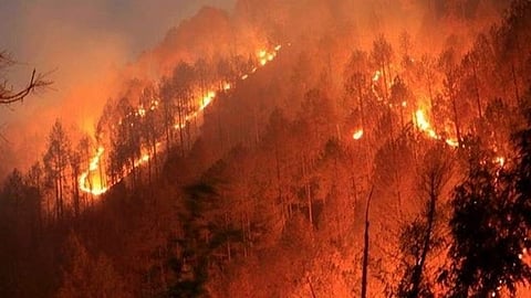 দাবানলের কবলে উত্তরাখণ্ড