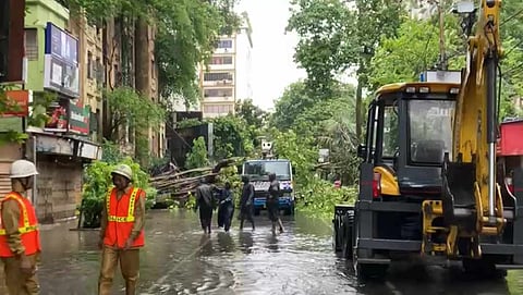 কলকাতার রাস্তায় সরানো হচ্ছে ভেঙে পড়া গাছ