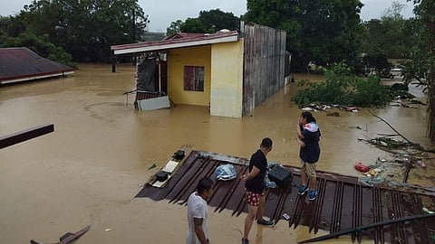 ট্রামির প্রভাব