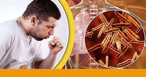 WHO: করোনার থেকেও ভয়ঙ্কর টিবি! বিশ্বব্যাপী সংক্রমণে শীর্ষে ভারত, উদ্বেগে বিশ্ব স্বাস্থ্য সংস্থা