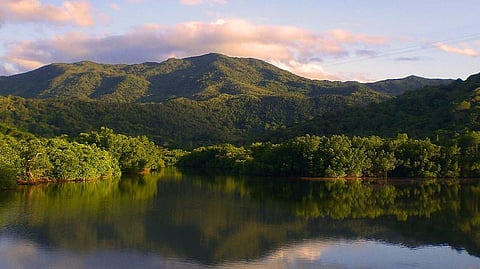 Indis's Biodiversity: পরিবেশ রক্ষায় বিশেষ পদক্ষেপ, ৩০ শতাংশ ভূমি সুরক্ষিত করবে ভারত