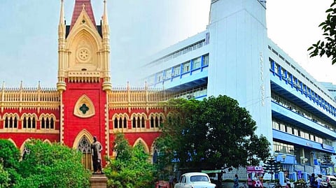 Calcutta HC: দু’দিনের মধ্যে বিধাননগর পুরসভার সমস্ত বেআইনি হোর্ডিং খুলে ফেলার নির্দেশ হাইকোর্টের