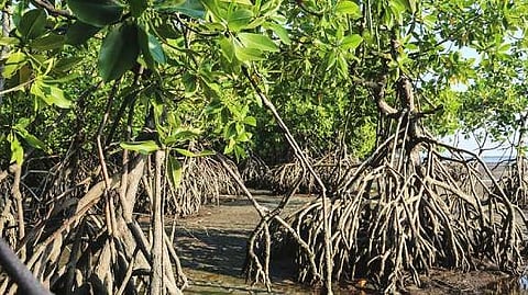 প্রতীকী ছবি