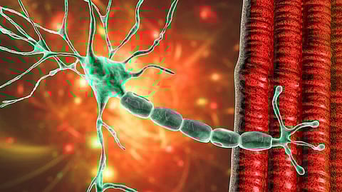 প্রতীকী ছবি