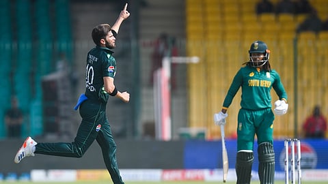 শাহিন শাহ আফ্রিদি