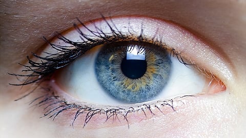 প্রতীকী ছবি