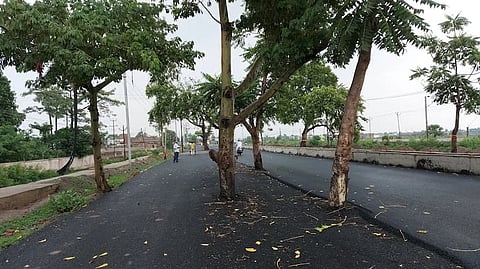 বিহারের জেহানাবাদের সেই রাস্তা