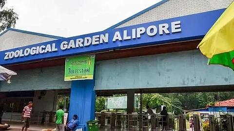 প্রতীকী ছবি