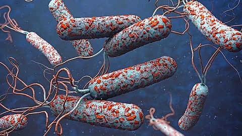 Cholera: ফের কলেরা আক্রান্তের সন্ধান কলকাতায়, পানীয় জল পরীক্ষার কাজ শুরু পুরসভার