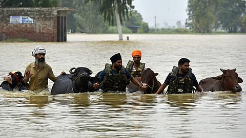 পাঞ্জাবে চলছে উদ্ধারকাজ