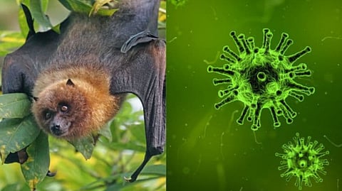 প্রতীকী ছবি