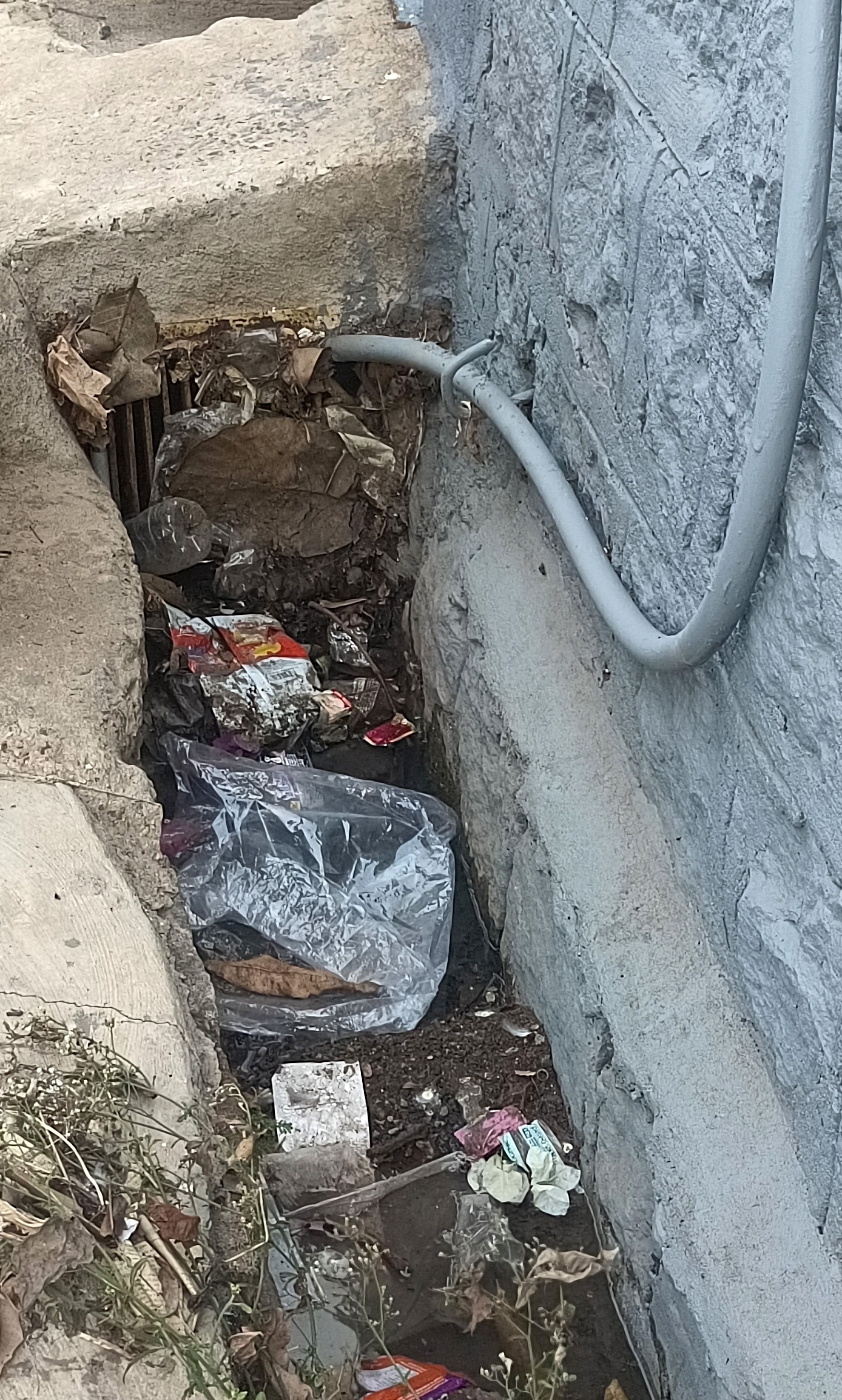 ಬಲ್ಮಠದಲ್ಲಿ ಮಳೆನೀರು ಚರಂಡಿಯೊಂದರ ಜಾಲರಿಯಲ್ಲಿ ಕಸ ಕಡ್ಡಿ ಸಿಲುಕಿ ನೀರು ಕಟ್ಟಿಕೊಂಡಿರುವುದು