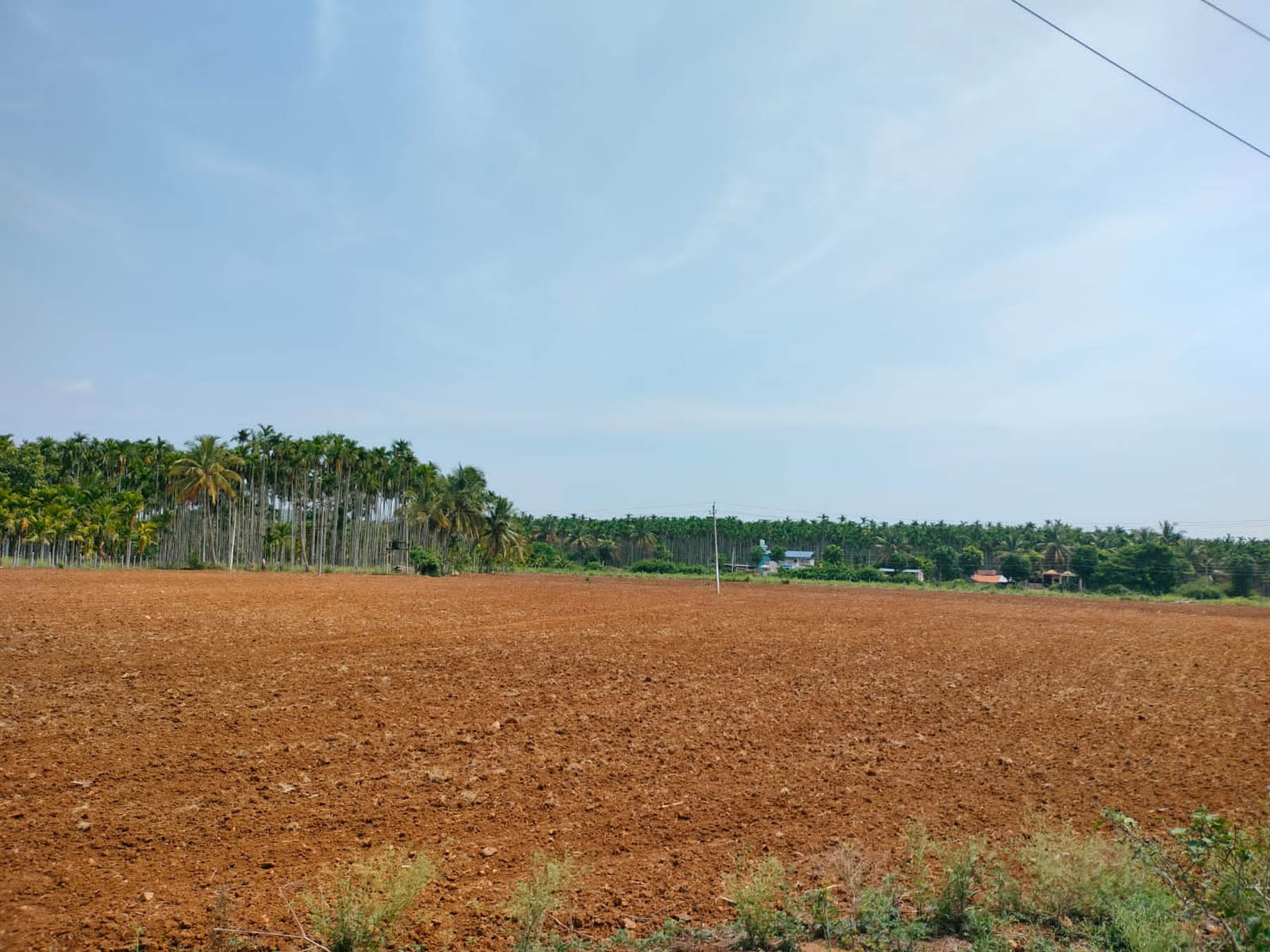 ಚನ್ನಗಿರಿ ತಾಲ್ಲೂಕಿನಲ್ಲಿ ಮುಂಗಾರು ಹಂಗಾಮಿನ ಬಿತ್ತನೆ ಕಾರ್ಯಕ್ಕೆ ಭೂಮಿಯನ್ನು ಉಳುಮೆ ಮಾಡಿಕೊಂಡಿರುವುದು