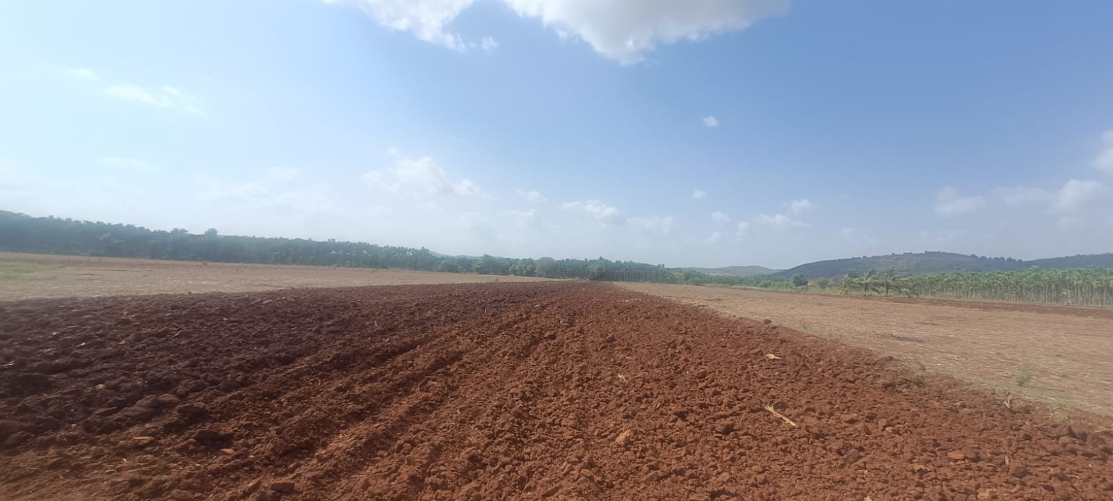 ಹೊನ್ನಾಳಿ ತಾಲ್ಲೂಕಿನ ಕುಂದೂರು ಭಾಗದಲ್ಲಿ ಬಿತ್ತನೆಗೆ ಭೂಮಿಯನ್ನು ಸಿದ್ಧಮಾಡಿಕೊಂಡಿರುವುದು