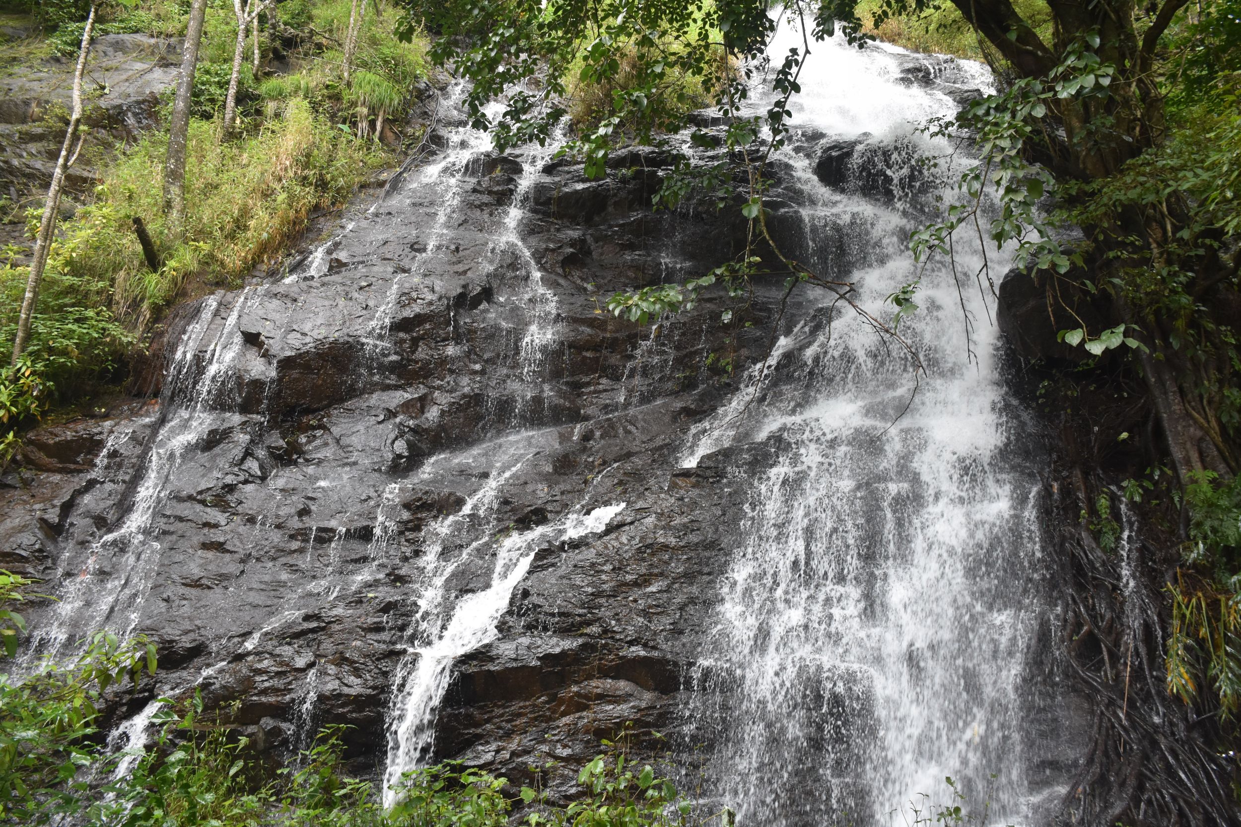 ಕೊಡಗು ಜಿಲ್ಲೆಯ ಚೆಟ್ಟಳ್ಳಿ– ಸಿದ್ದಾಪುರ ರಸ್ತೆಯಲ್ಲಿ ಮುಂಗಾರು ಬಂತೆಂದರೆ ಅನೇಕ ಜಲಪಾತಗಳು ರಸ್ತೆಯುದ್ದಕ್ಕೂ ಭೋರ್ಗರೆಯುತ್ತಿವೆ. ಇವುಗಳು ಯಾವುವೂ ಅಷ್ಟು ಪ್ರಸಿದ್ಧಿಗೆ ಬಂದಿಲ್ಲ. ಅವುಗಳಲ್ಲಿ ಒಂದಾದ ಅಬ್ಯಾಲ ಜಲಪಾತ 60ರಿಂದ 70 ಅಡಿಗಳಷ್ಟು ಎತ್ತರದಿಂದ ಬೆಳ್ನೊರೆಯಂತೆ ಧರೆಗಿಳಿಯುತ್ತಿರುವ ದೃಶ್ಯ ಮಳೆಗಾಲದಲ್ಲಿ ಮಾತ್ರವೆ ಕಂಡು ಬರುತ್ತವೆ.