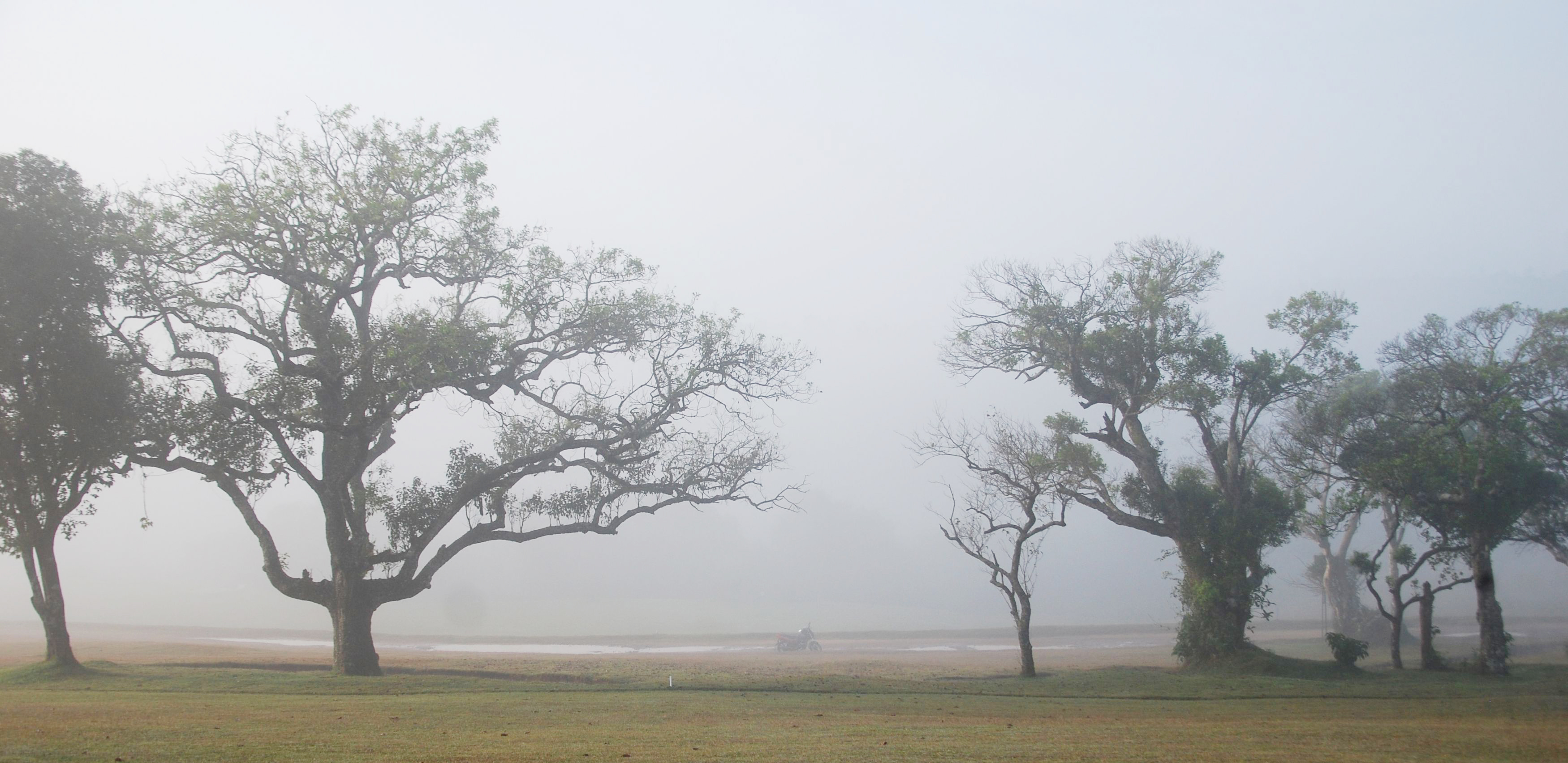 ಮಡಿಕೇರಿಯಲ್ಲಿ ದಟ್ಟ ಮಂಜು ಆವರಿಸಿದಾಗ ಕಾಣಸಿಗುವ ಅದ್ಭುತ ದೃಶ್ಯಕಾವ್ಯ