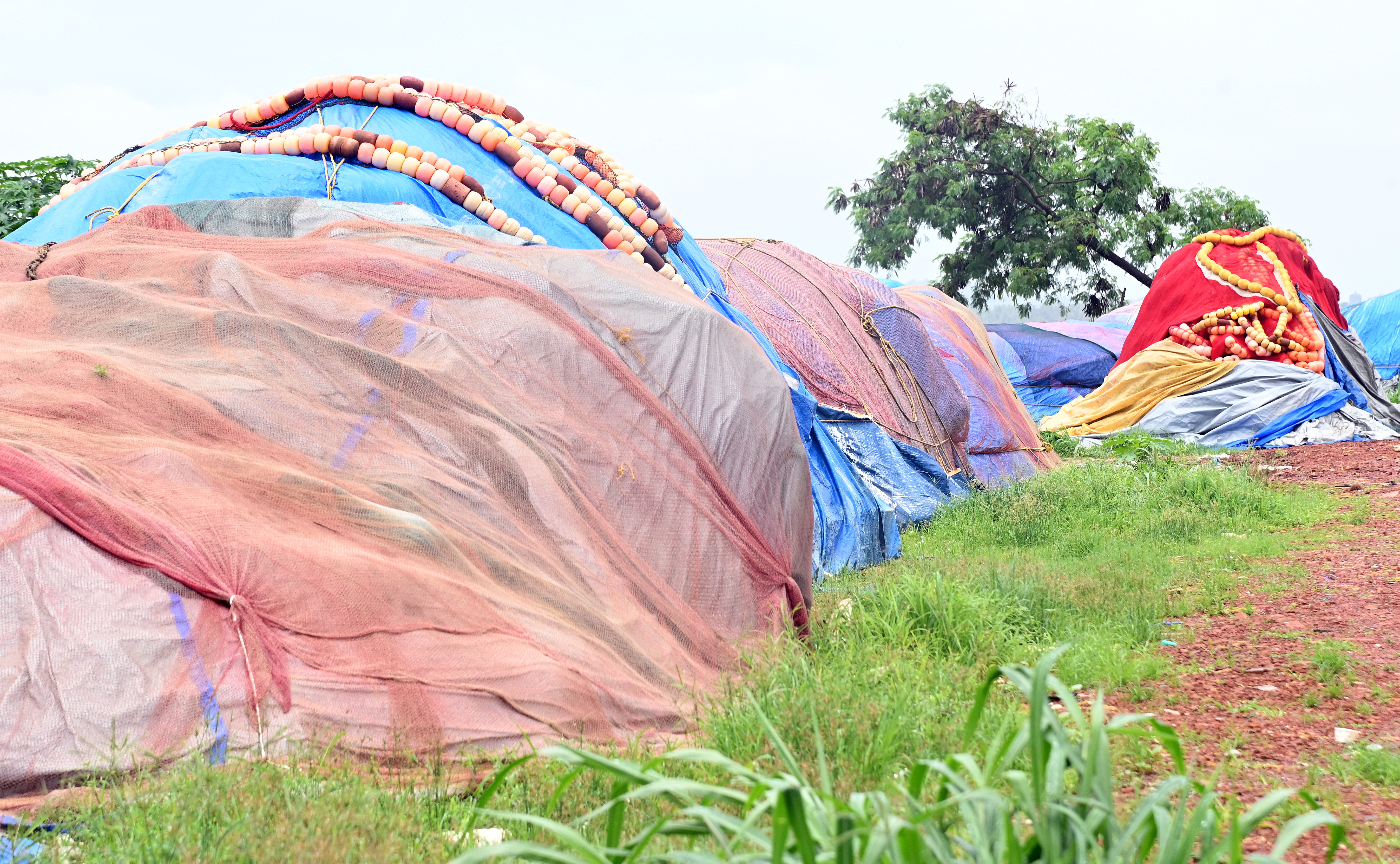 ಆಳಸಮುದ್ರ ಮೀನುಗಾರಿಕೆ ನಿಷೇಧದ ಹಿನ್ನೆಲೆಯಲ್ಲಿ ಮಂಗಳೂರು ದಕ್ಕೆ ಬದಿಯ ತೆರೆದ ಸ್ಥಳದಲ್ಲಿ ಬಲೆಗಳನ್ನು ಕಟ್ಟಿ ಇರಿಸಿರುವುದು –ಪ್ರಜಾವಾಣಿ ಚಿತ್ರ /ಫಕ್ರುದ್ದೀನ್ ಎಚ್