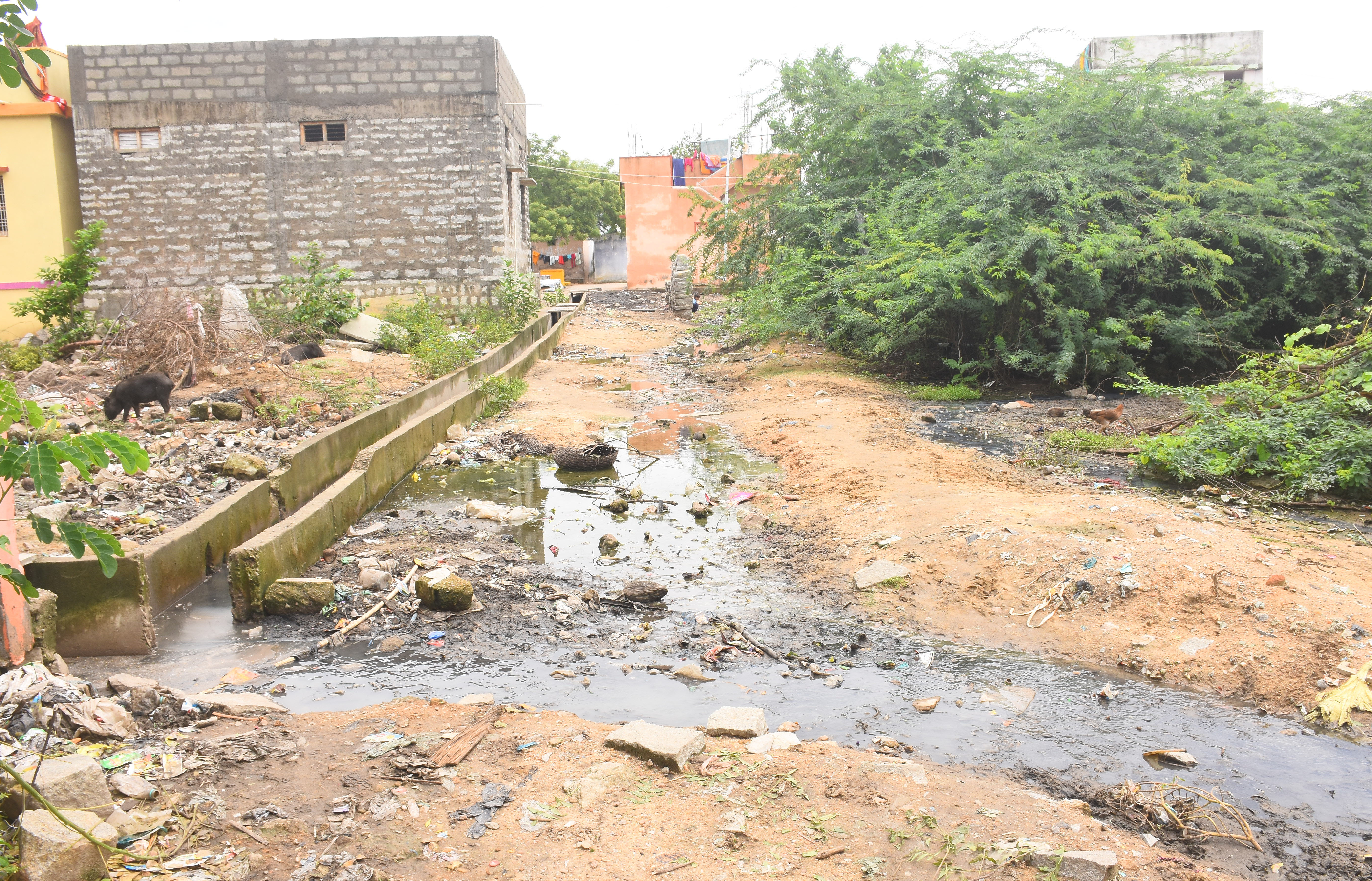 ಯಾದಗಿರಿ ಗಂಜ್ ಏರಿಯಾದ ಸರ್ಕಾರಿ ರೈಸ್ ಮೀಲ್ ಹಿಂಭಾಗದಲ್ಲಿ ಸರಿಯಾದ ಚರಂಡಿ ವ್ಯವಸ್ಥೆ ಇಲ್ಲದ ಕಾರಣ ಚರಂಡಿ ನೀರು ಅಲ್ಲಿಯೇ ಸಂಗ್ರಹವಾಗಿರುವುದು