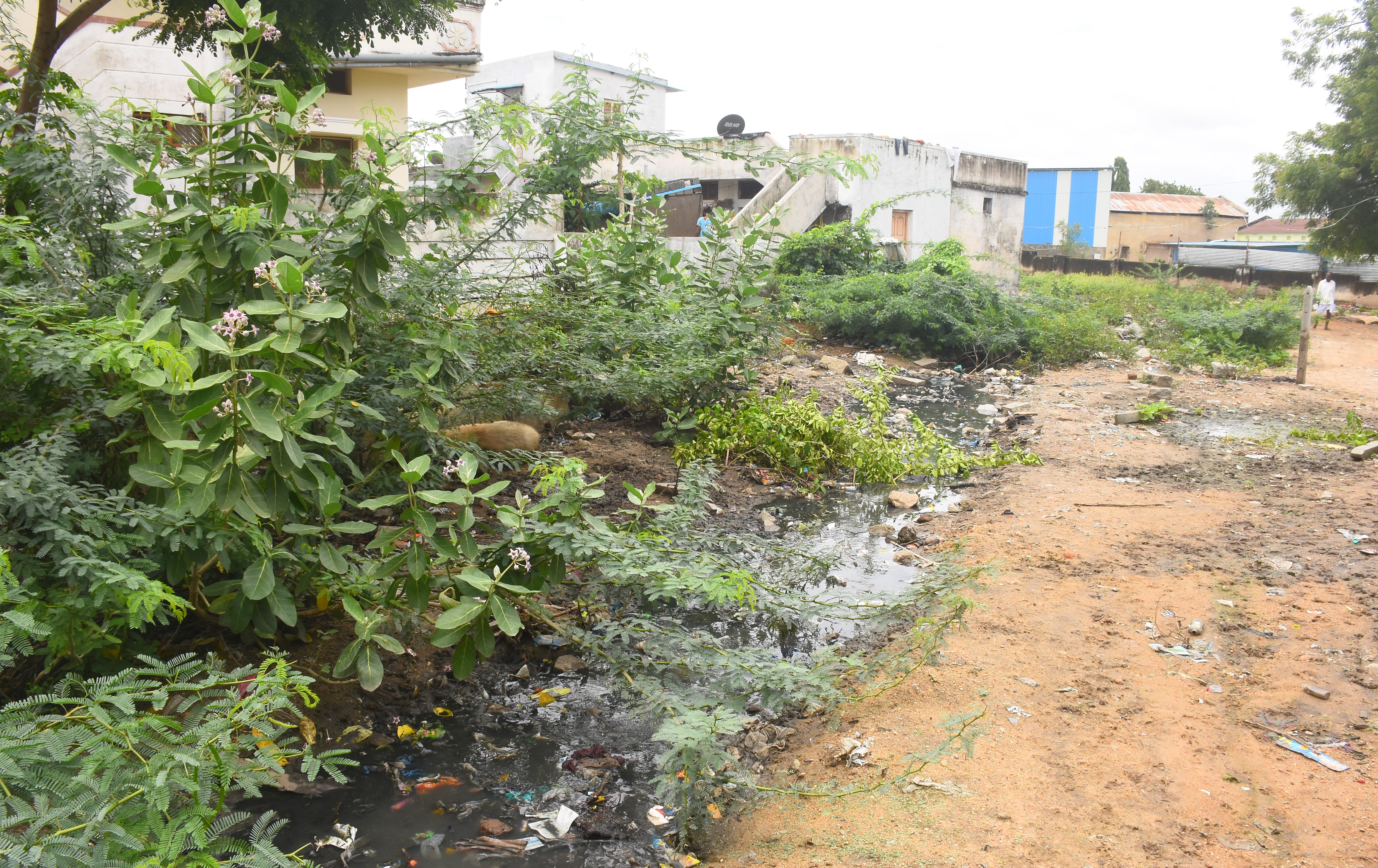 ಯಾದಗಿರಿ ನಗರದ ಚಿರಂಜೀವಿ ನಗರದಲ್ಲಿ ಸರಿಯಾದ ಚರಂಡಿ ಇಲ್ಲದೆ ಸಂಗ್ರಹವಾಗಿರುವ ನೀರು