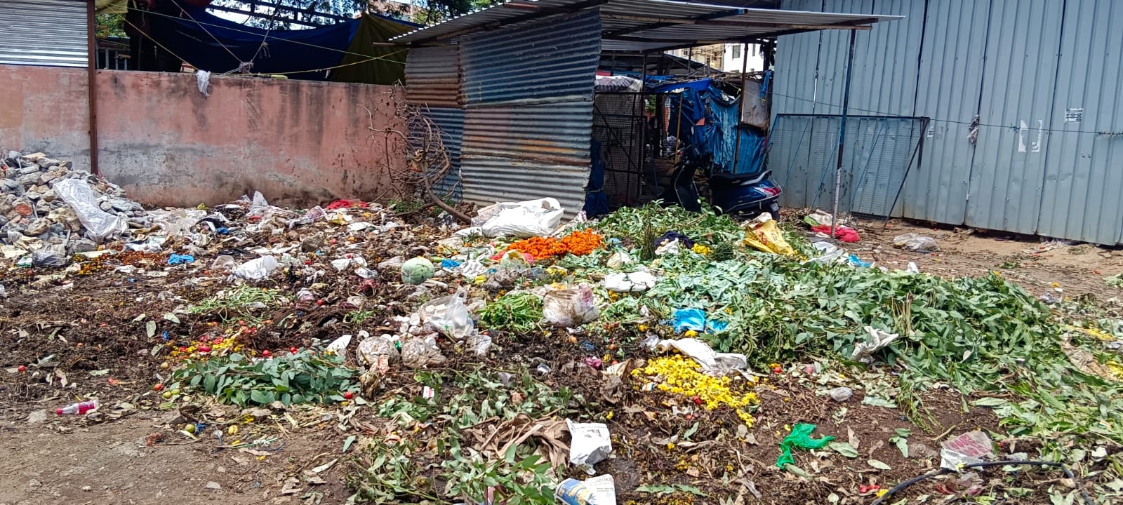 ಎಲ್ಲೆಂದರಲ್ಲಿ ರಾಶಿ ಬಿದ್ದಿರುವ ಹಸಿ ತ್ಯಾಜ್ಯ