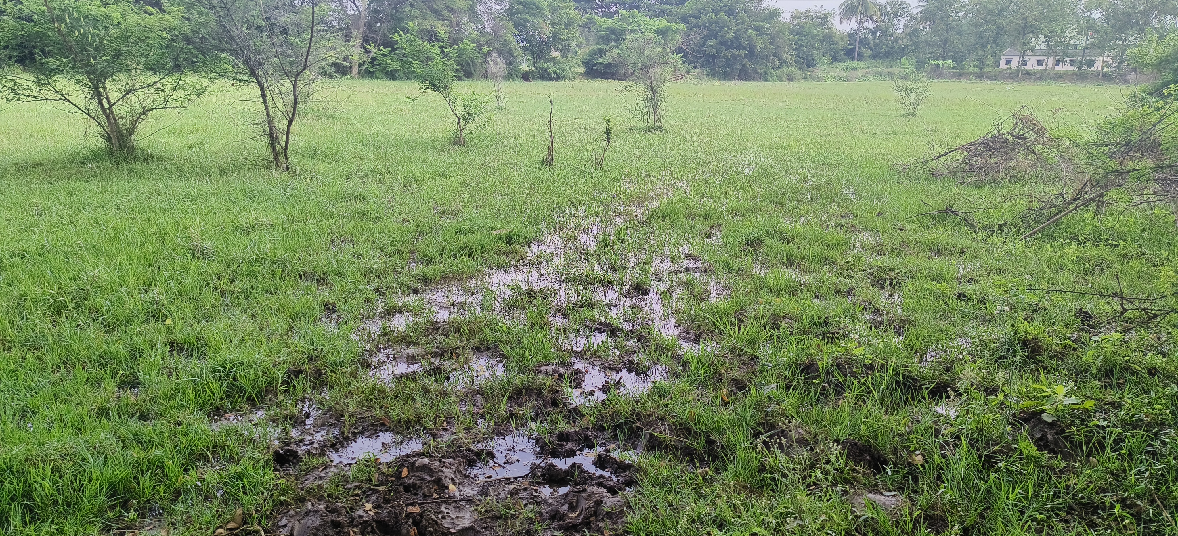 ತಾಲ್ಲೂಕಿನ ಸಿದ್ದಯ್ಯನಪುರ ಗ್ರಾಮದ ಜಮೀನಿನಲ್ಲಿ ನೀರು ನಿಂತಿರುವುದು ಹಾಗಾಗಿ ಈ ಮಣ್ಣಿನಲ್ಲಿ ವ್ಯವಸಾಯ ಮಾಡಲು ಆಗುತ್ತಿಲ್ಲ