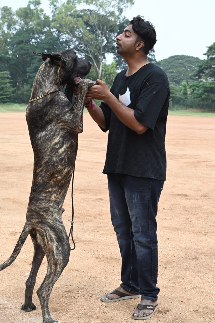 ವಿಜಯಪುರ ನಗರದ ಪೊಲೀಸ್ ಪರೇಡ್ ಮೈದಾನದಲ್ಲಿ ಭಾನುವಾರ ಏರ್ಪಡಿಸಿದ್ದ ಶ್ವಾನ ಪ್ರದರ್ಶನಕ್ಕೂ ಮೊದಲು ಮಾಲಿಕನೊಂದಿಗೆ ಆಟವಾಡಿದ ಶ್ವಾನ
–ಚಿತ್ರ ರಾಜು ಢವಳಗಿ