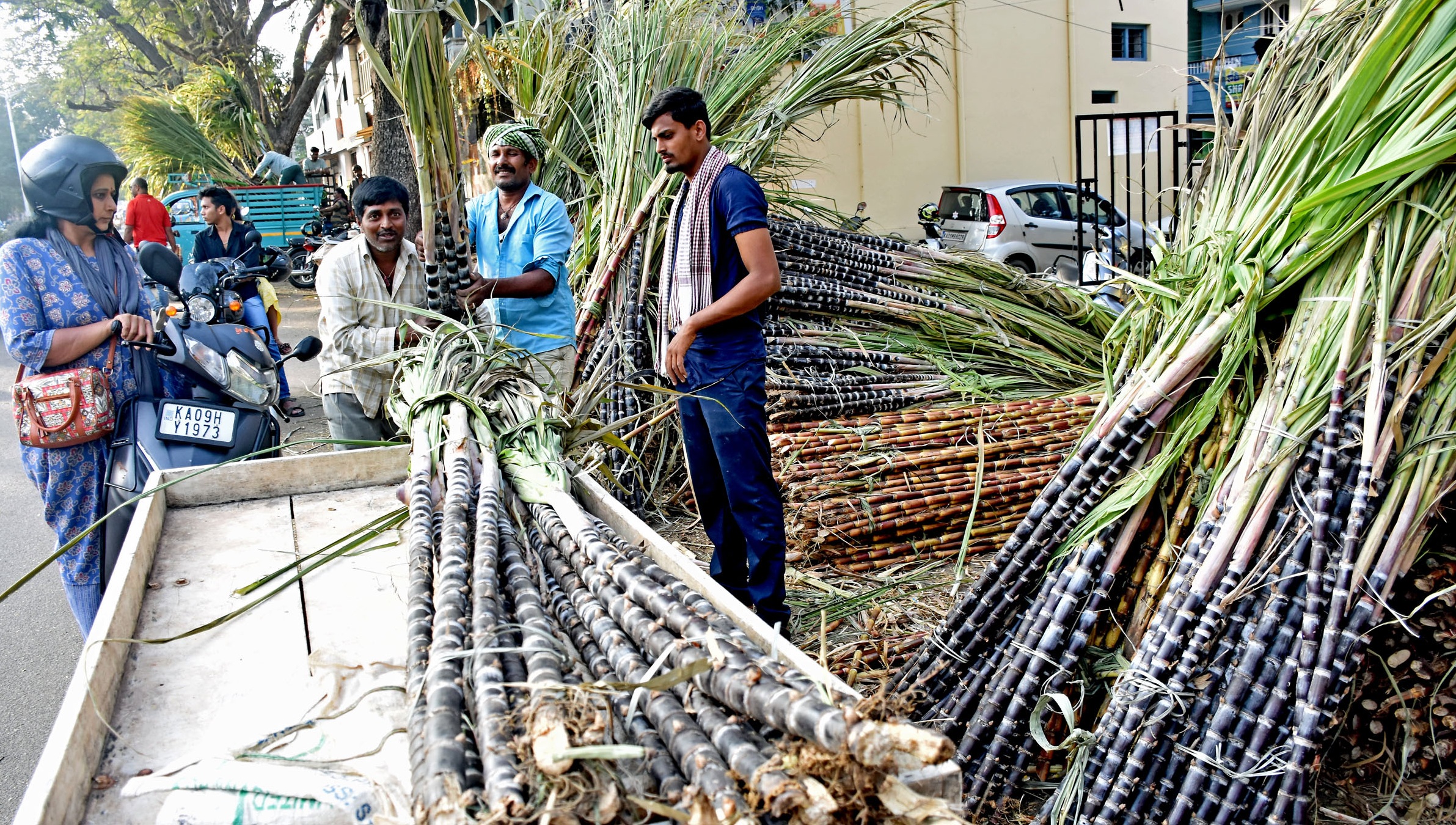 ಸಂಕ್ರಾಂತಿ ಪ್ರಯುಕ್ತ ನಗರದ ರಸ್ತೆ ಬದಿಗಳಲ್ಲಿ ಕಬ್ಬು ರಾಶಿ ಹಾಕಿ ಮಾರಾಟ ಮಾಡುತ್ತಿರುವುದು – ಪ್ರಜಾವಾಣಿ ಚಿತ್ರ/ ಹಂಪಾ ನಾಗರಾಜ್