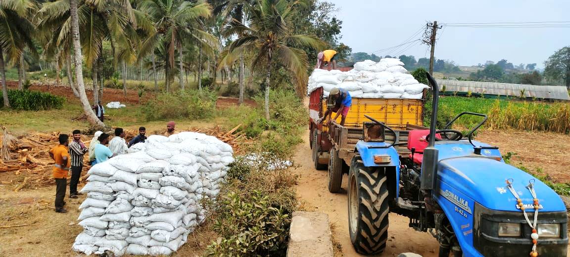 ಲಾರಿಯಿಂದ ಕೋಳಿಗೊಬ್ಬರವನ್ನು ಇಳಿಸಿಕೊಳ್ಳುತ್ತಿರುವ ಜನರು.