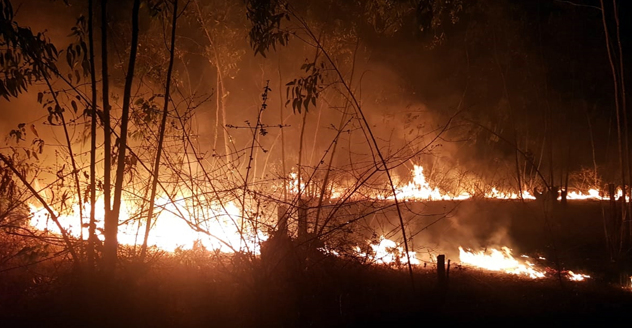 ದೊಡ್ಡಬಳ್ಳಾಪುರ ತಾಲ್ಲೂಕಿನ ಮಾಕಳಿ ಬೆಟ್ಟದ ತಪ್ಪಲಿನಲ್ಲಿ ಕಳೆದ ವರ್ಷ ಕಾಣಿಸಿಕೊಂಡಿದ್ದ ಬೆಂಕಿ (ಸಂಗ್ರಹ ಚಿತ್ರ)