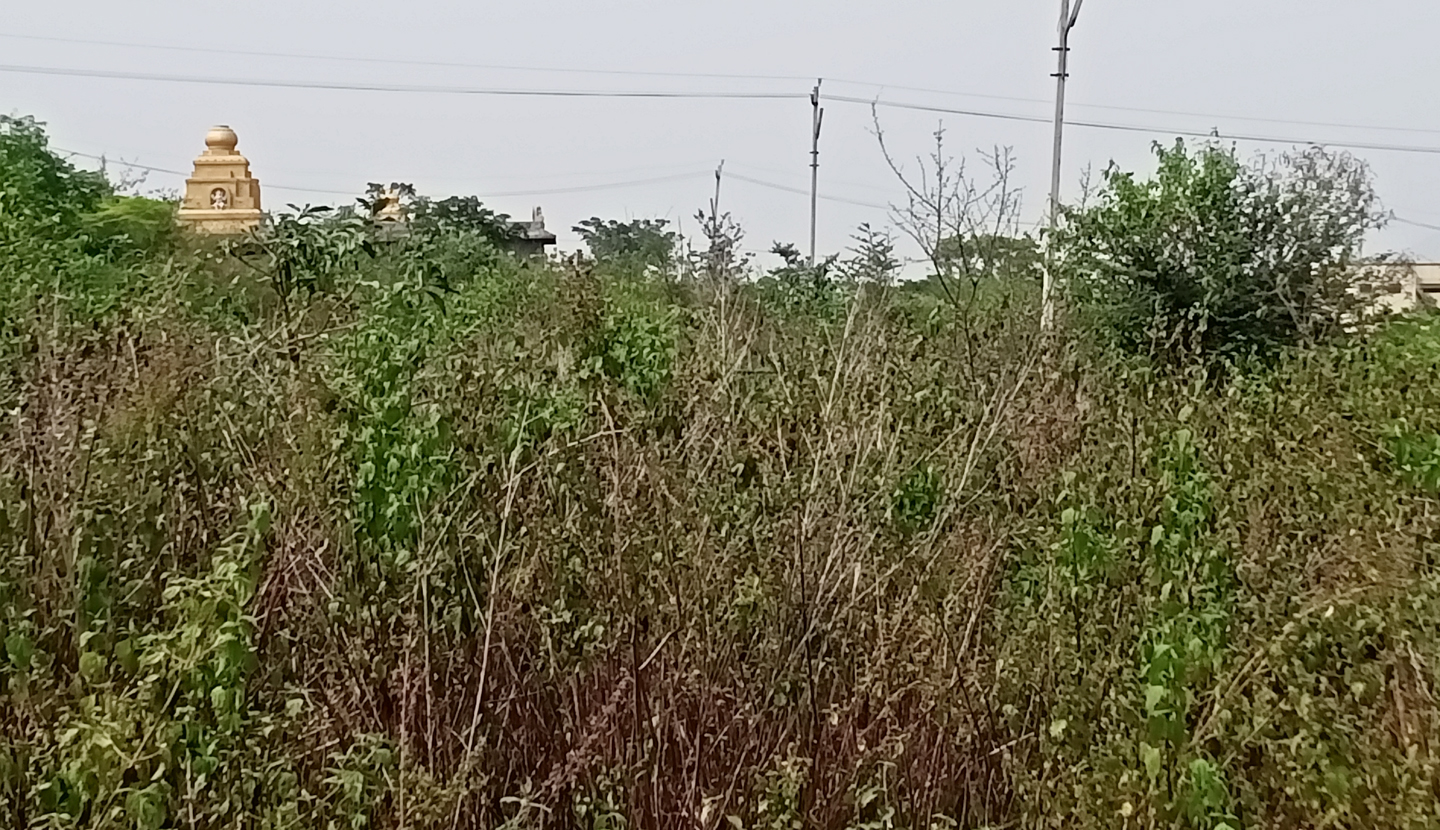 ಮೂಲ ಸೌಲಭ್ಯಗಳಿಲ್ಲದೆ ಸಂಪೂರ್ಣವಾಗಿ ಬೃಹತ್ ಗಿಡ ಗಂಟೆಗಳಿಂದ ಆವೃತ್ತವಾಗಿರುವ ಮುಂಡರಗಿ ತಾಲ್ಲೂಕಿನ ಹೊಸ ಗುಮ್ಮಗೋಳ ಗ್ರಾಮ