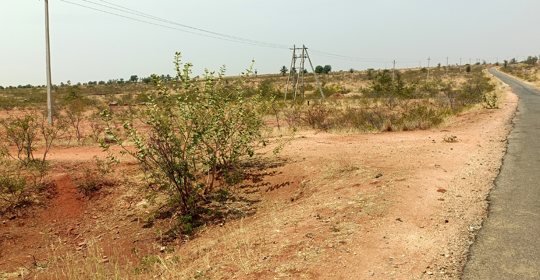 ನಾಯಕನಹಟ್ಟಿ ಸಮೀಪದ ಕಾವಲುಬಸವೇಶ್ವರ ನಗರ ಸಮೀಪದಲ್ಲಿ ಅಗ್ನಿಶಾಮಕ ಠಾಣೆ ನಿರ್ಮಾಣಕ್ಕೆ ಜಮೀನು ಕಾಯ್ದಿರಿಸಿರುವುದು