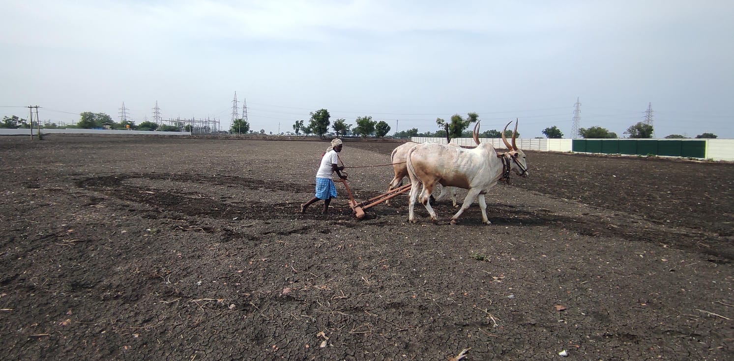 ನವಲಗುಂದ ವ್ಯಾಪ್ತಿಯಲ್ಲಿ ರೈತರೊಬ್ಬರು ಬಿತ್ತನೆಗಾಗಿ ಭೂಮಿಯನ್ನು ಹದಗೊಳಿಸಿದರು