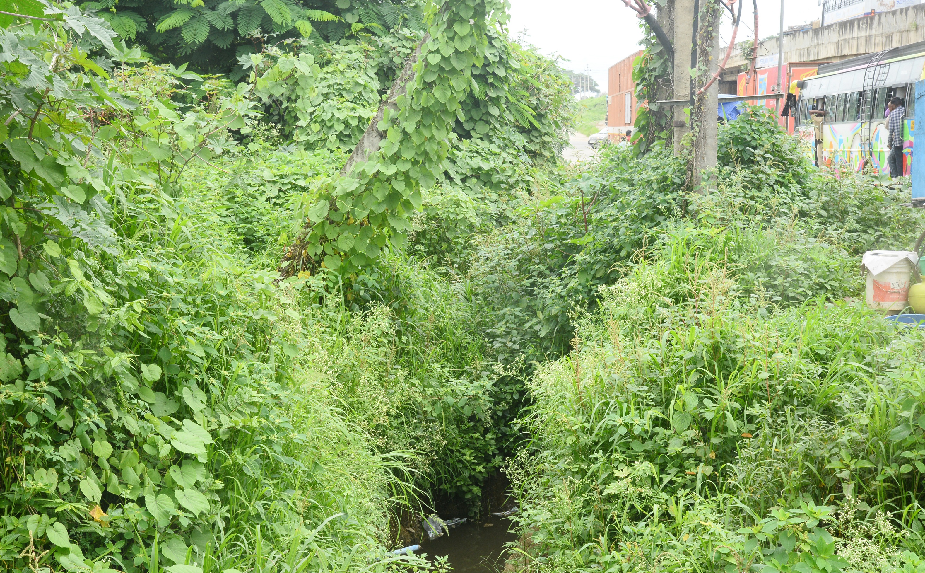 ಅಂತರಸನಹಳ್ಳಿ ಸೇತುವೆ ಹತ್ತಿರದ ಚರಂಡಿಯ ಸ್ಥಿತಿ