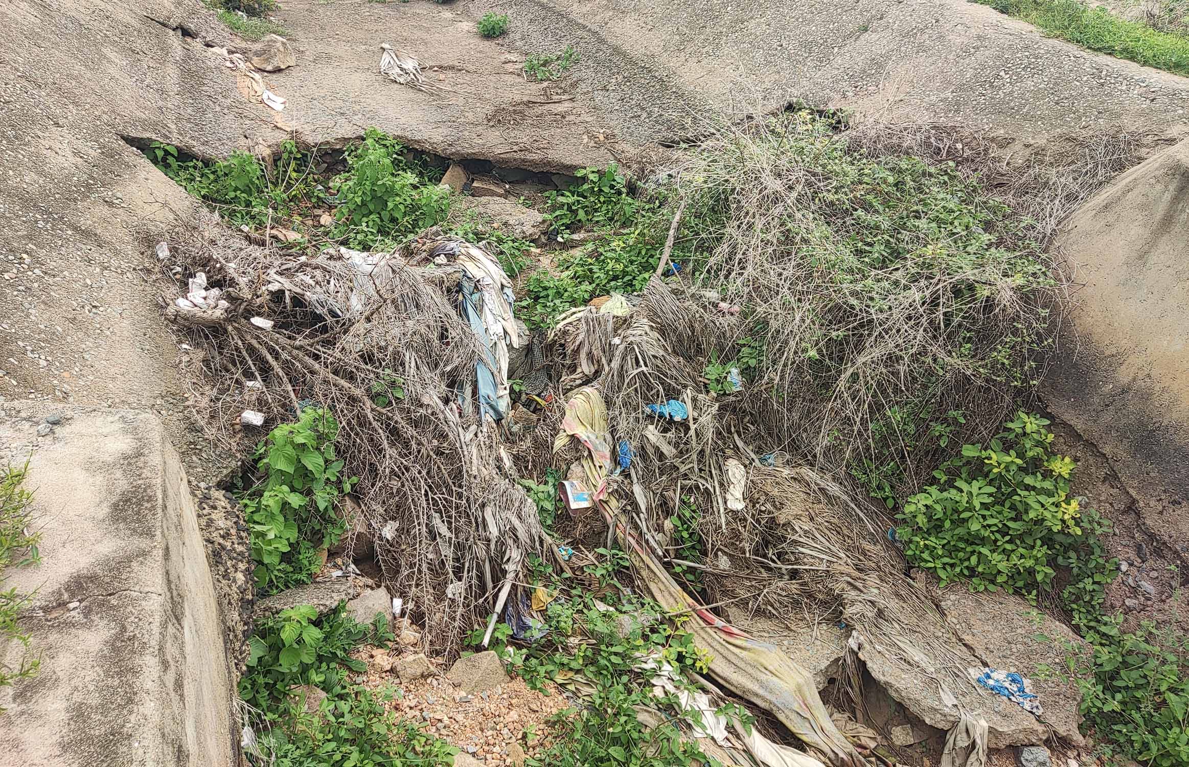 ಕಂಪ್ಲಿ ತಾಲ್ಲೂಕಿನ ತುಂಗಭದ್ರಾ ಎಚ್.ಎಲ್.ಸಿ ನಂ.2 ವಿತರಣಾ ನಾಲೆಯಲ್ಲಿ ತುಂಬಿರುವ ಹೂಳು ಗಿಡಗಂಟೆಗಳ ದೃಶ್ಯ