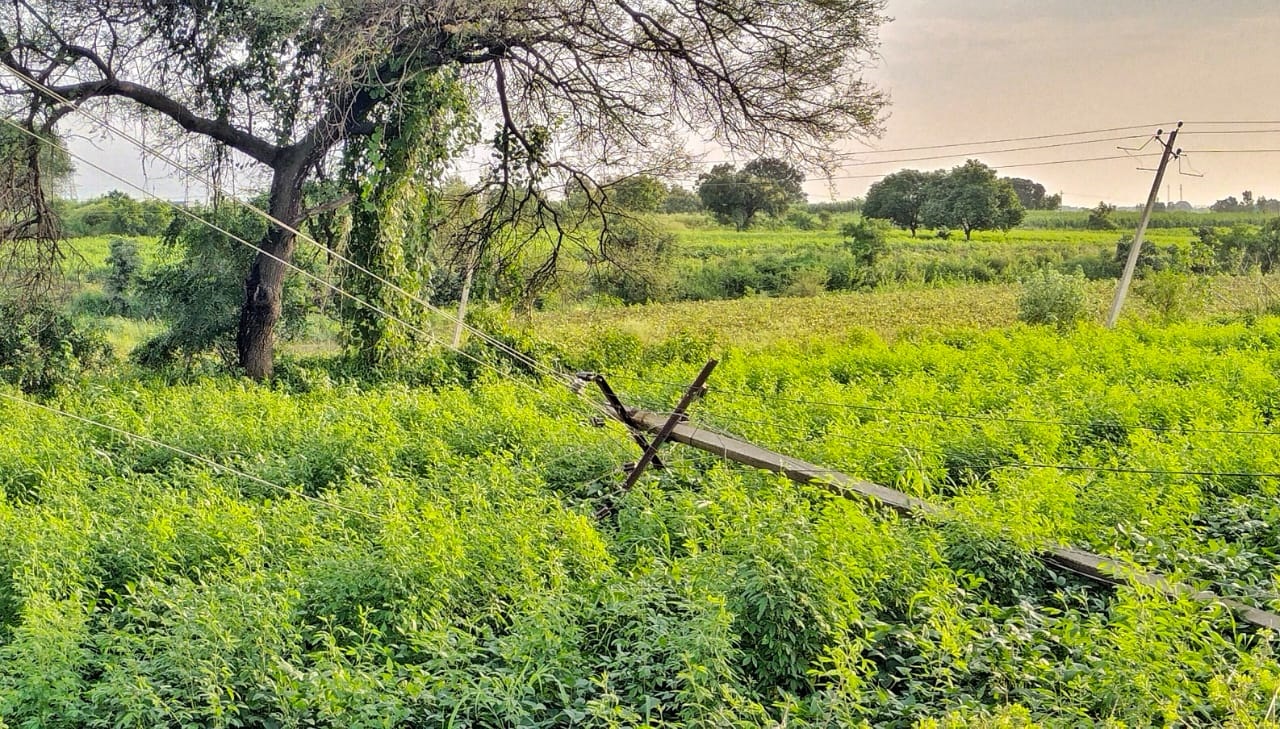 ಹುಲಸೂರ ರೈತ ಶಿವಾಜಿ ನಾರಾಯಣ ಗಿರಿ ಅವರ ಹೊಲದಲ್ಲಿ ಬಾಗಿರುವ ವಿದ್ಯುತ್ ಕಂಬಗಳು