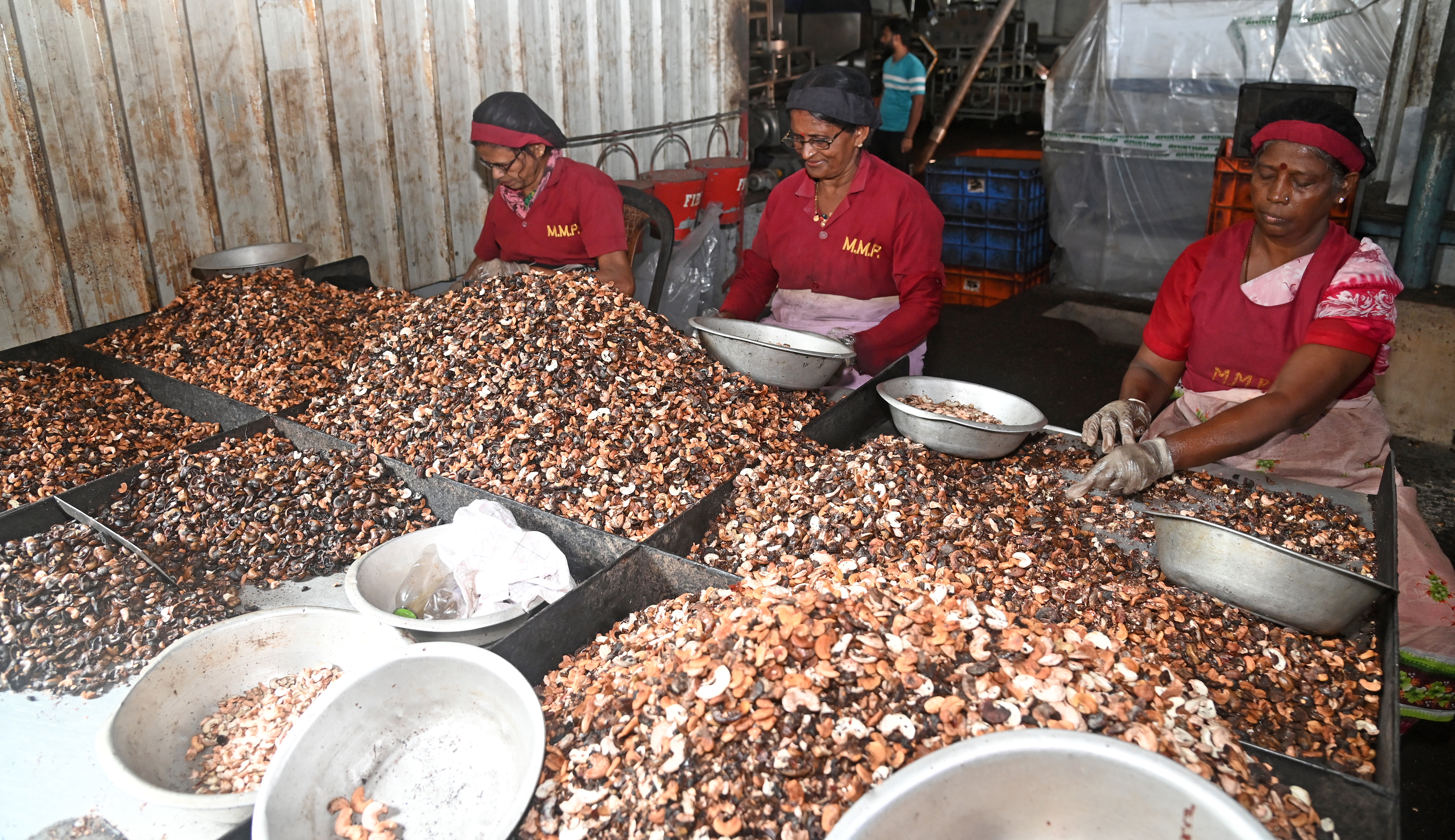 ಕಾರ್ಖಾನೆಯಲ್ಲಿ ಗೋಡಂಬಿ ಸಂಸ್ಕರಣೆ ಪ್ರಜಾವಾಣಿ ಚಿತ್ರ: ಫಕ್ರುದ್ದೀನ್ ಎಚ್.