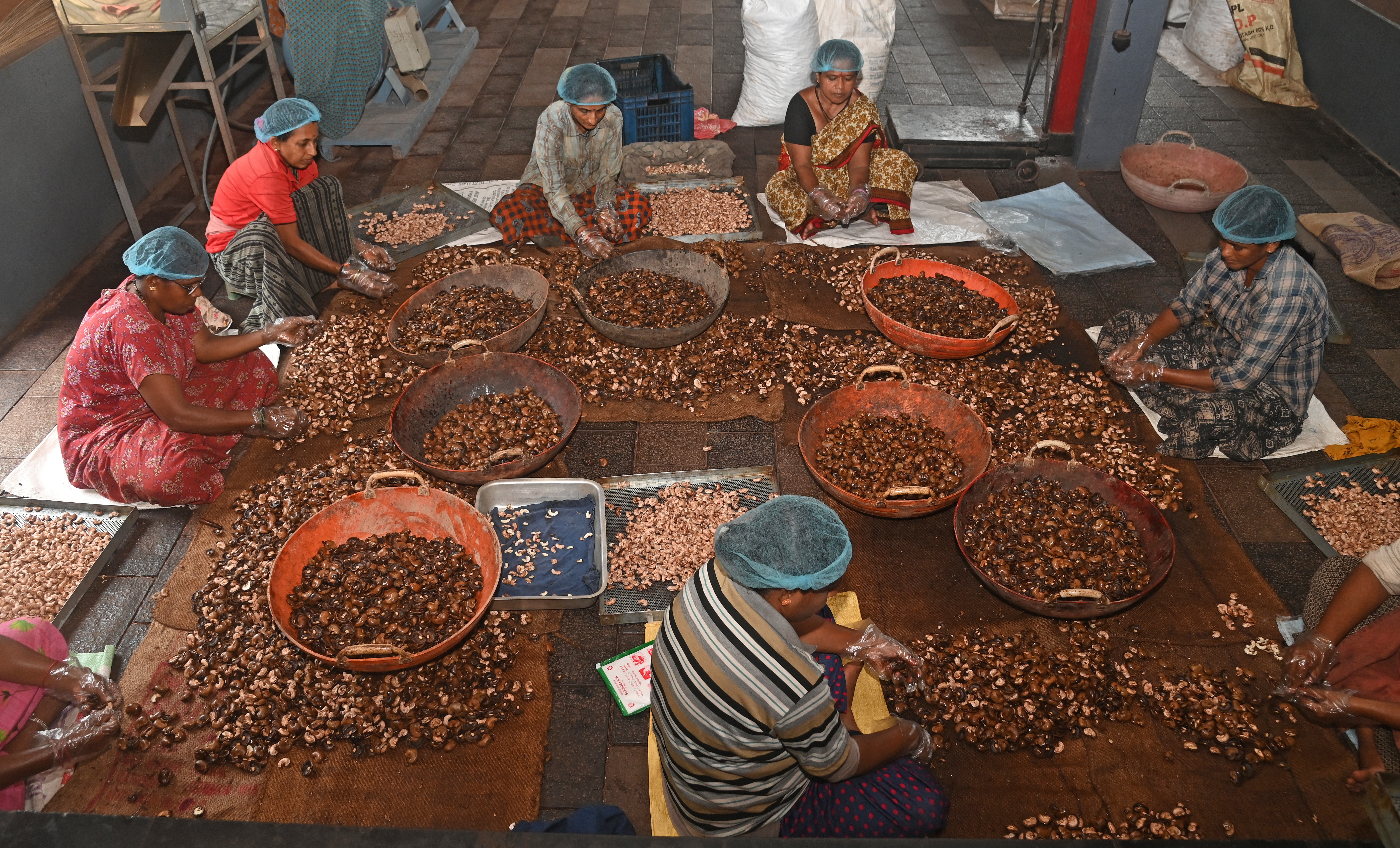 ಗೇರು ಬೀಜ ಸಂಸ್ಕರಣೆಯಲ್ಲಿ ತೊಡಗಿರುವ ಕಾರ್ಮಿಕರು ಪ್ರಜಾವಾಣಿ ಚಿತ್ರ: ಫಕ್ರುದ್ದೀನ್ ಎಚ್.