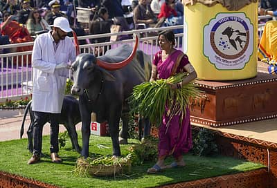 ಕರ್ತವ್ಯಪಥದಲ್ಲಿ ನಡೆದ ಗಣರಾಜ್ಯೋತ್ಸವ ಪಥಸಂಚಲನದಲ್ಲಿ ಸಾಗಿದ ಪಶುಸಂಗೋಪನಾ ಇಲಾಖೆಯ ಸ್ತಬ್ಧಚಿತ್ರ