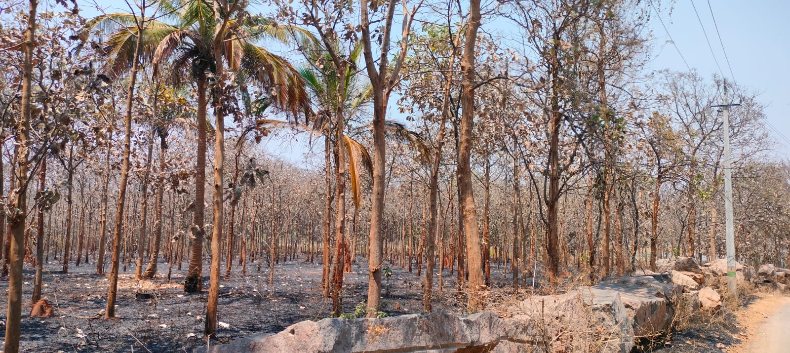ರಾಮನಗರ ತಾಲ್ಲೂಕಿನ ಕೆರೆಮೇಗಳದೊಡ್ಡಿಯಲ್ಲಿ ತೋಟವು ಬೆಂಕಿಗೆ ಆಹುತಿಯಾಗಿರುವುದು