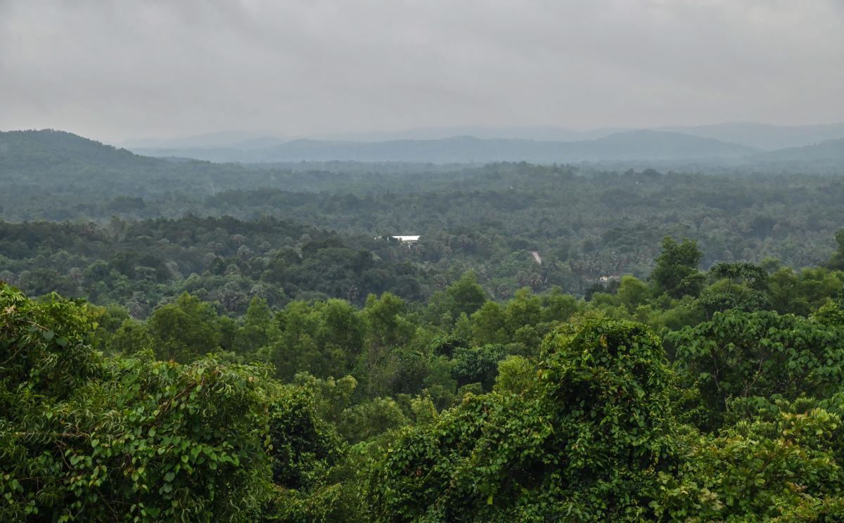 ಮಂಗಳೂರು ತಾಲೂಕಿನ ಬಳ್ಕುಂಜೆಯ ಉದ್ದೇಶಿತ ಭೂಸ್ವಾಧೀನ ಪ್ರದೇಶ