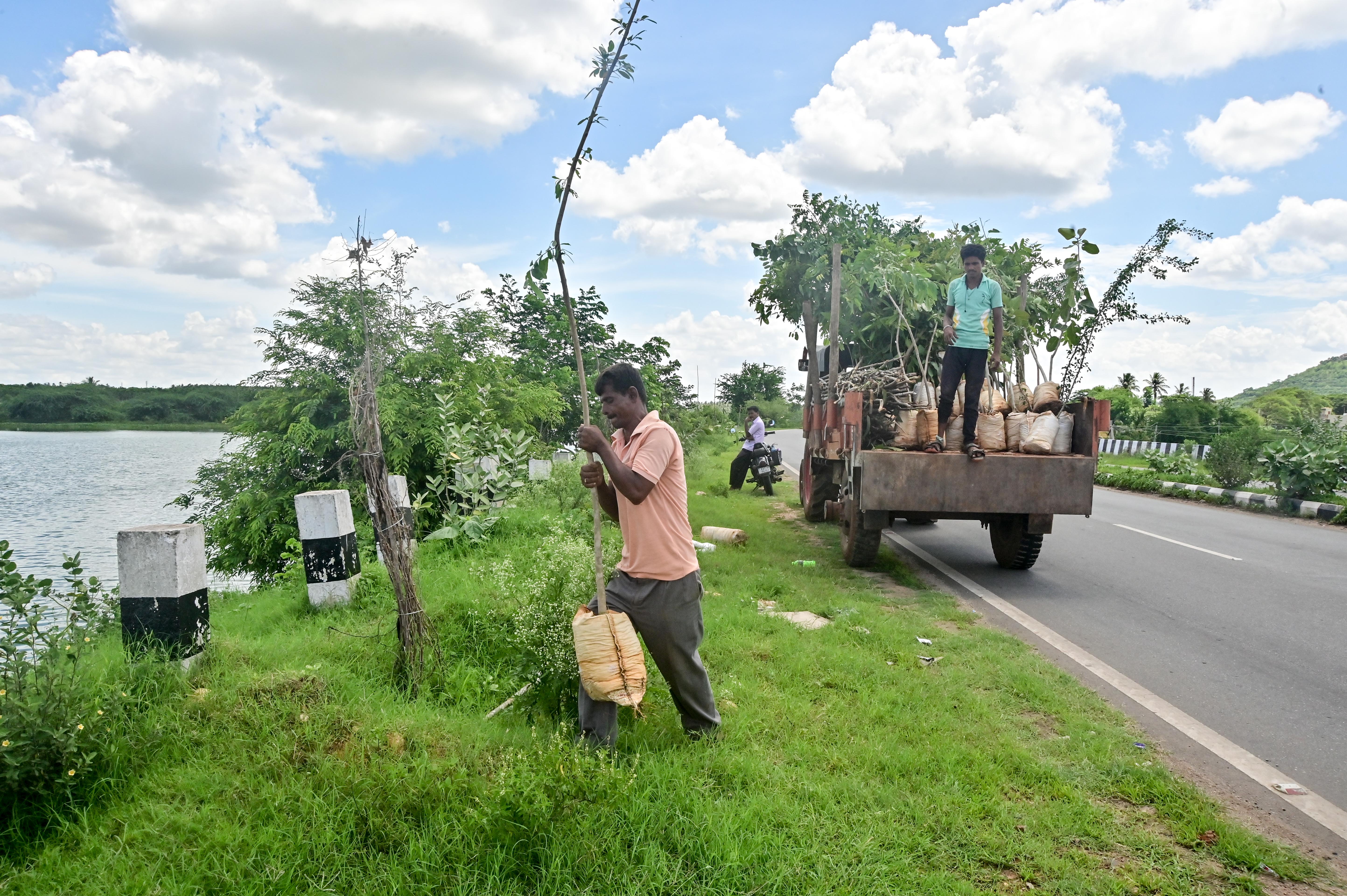 ದಾವಣಗೆರೆಯ ಬಾತಿ ಕೆರೆಯ ಬಳಿ ರಸ್ತೆಯ ಬದಿಯಲ್ಲಿ ಕಳೆದ ವರ್ಷದ ಮಳೆಗಾಲದ ಆರಂಭದಲ್ಲಿ ಅರಣ್ಯ ಇಲಾಖೆ ಸಿಬ್ಬಂದಿ ಗಿಡಗಳನ್ನು ನೆಡುತ್ತಿರುವುದು (ಸಂಗ್ರಹ ಚಿತ್ರ)
