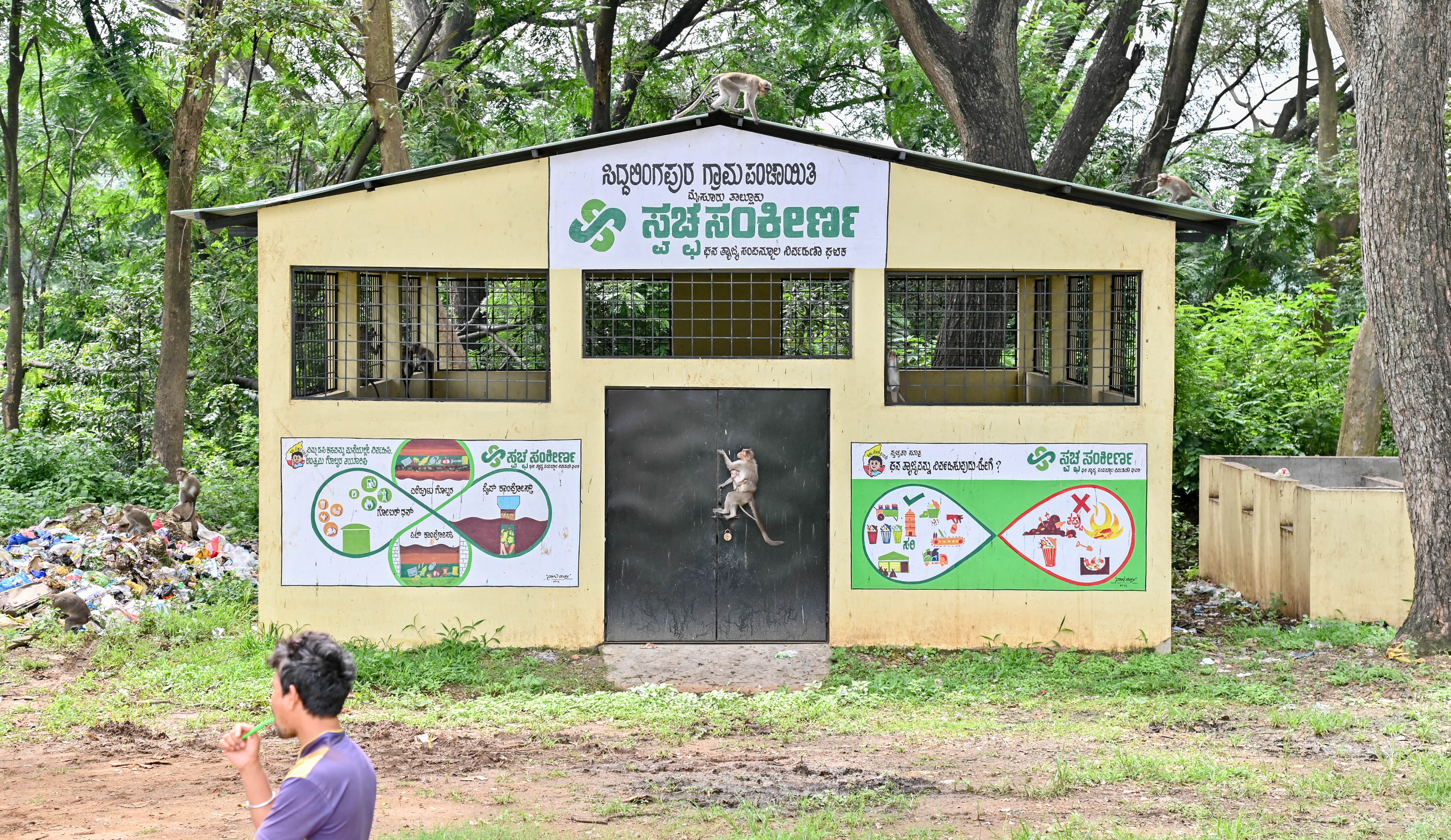 ಮೈಸೂರು ತಾಲ್ಲೂಕಿನ ಸಿದ್ಧಲಿಂಗಪುರ ಗ್ರಾಮ ಪಂಚಾಯತಿಯ - ಸ್ವಚ್ಚ ಸಂಕಿರಣ ಘನ ತ್ಯಾಜ್ಯ ಸಂಪನ್ಮೂಲ ನಿರ್ವಾಣ ಘಟಕದ ಒಂದು ನೋಟ. ಪ್ರಜಾವಾಣಿ ಚಿತ್ರ.