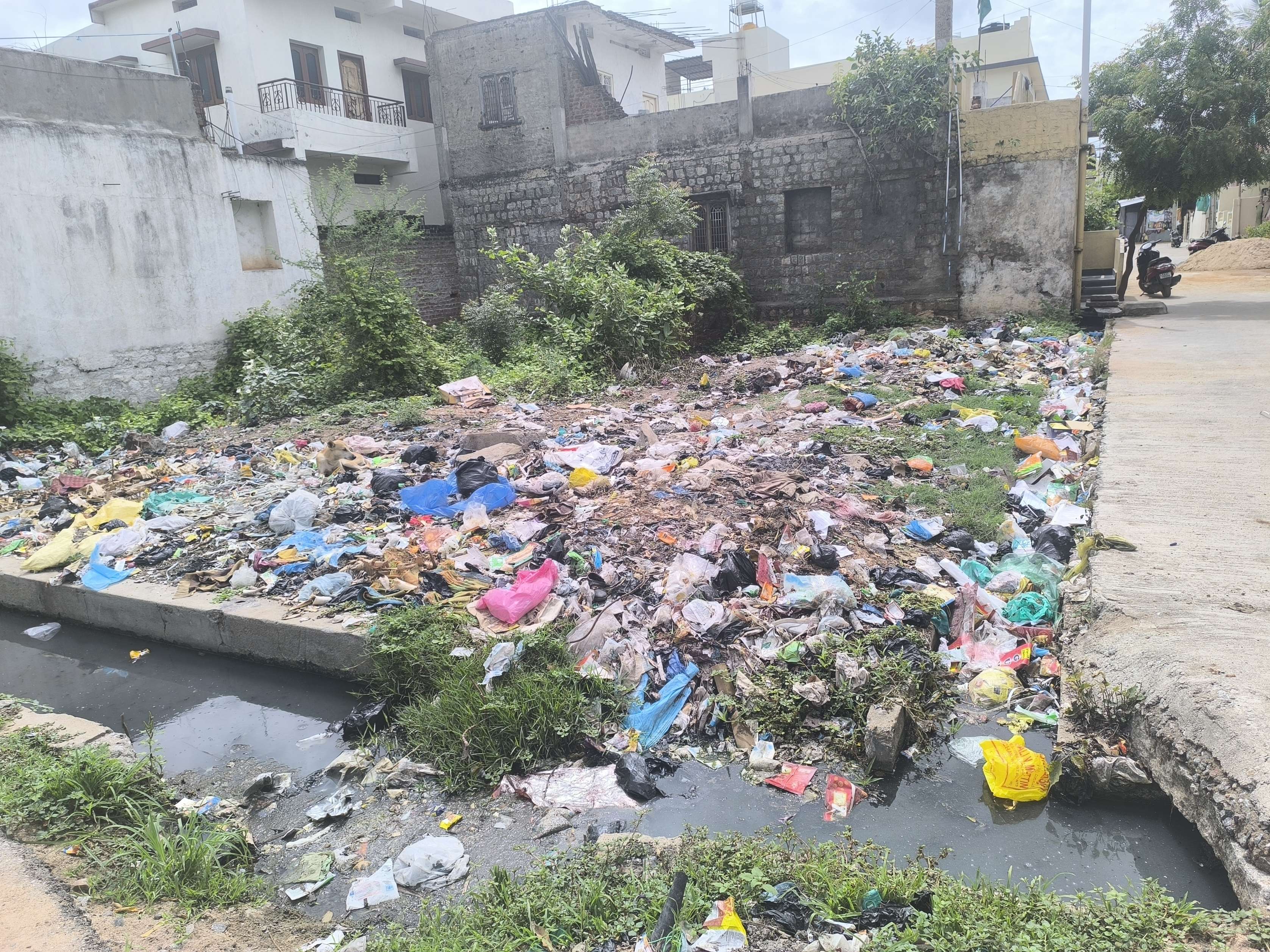 ಜಯನಗರ ಕುಮಾರರಾಮ ಬಡವಾಣೆಯ ಚರಂಡಿಯಲ್ಲಿ ತ್ಯಾಜ್ಯ ಸಂಗ್ರಹವಾಗಿರುವುದು