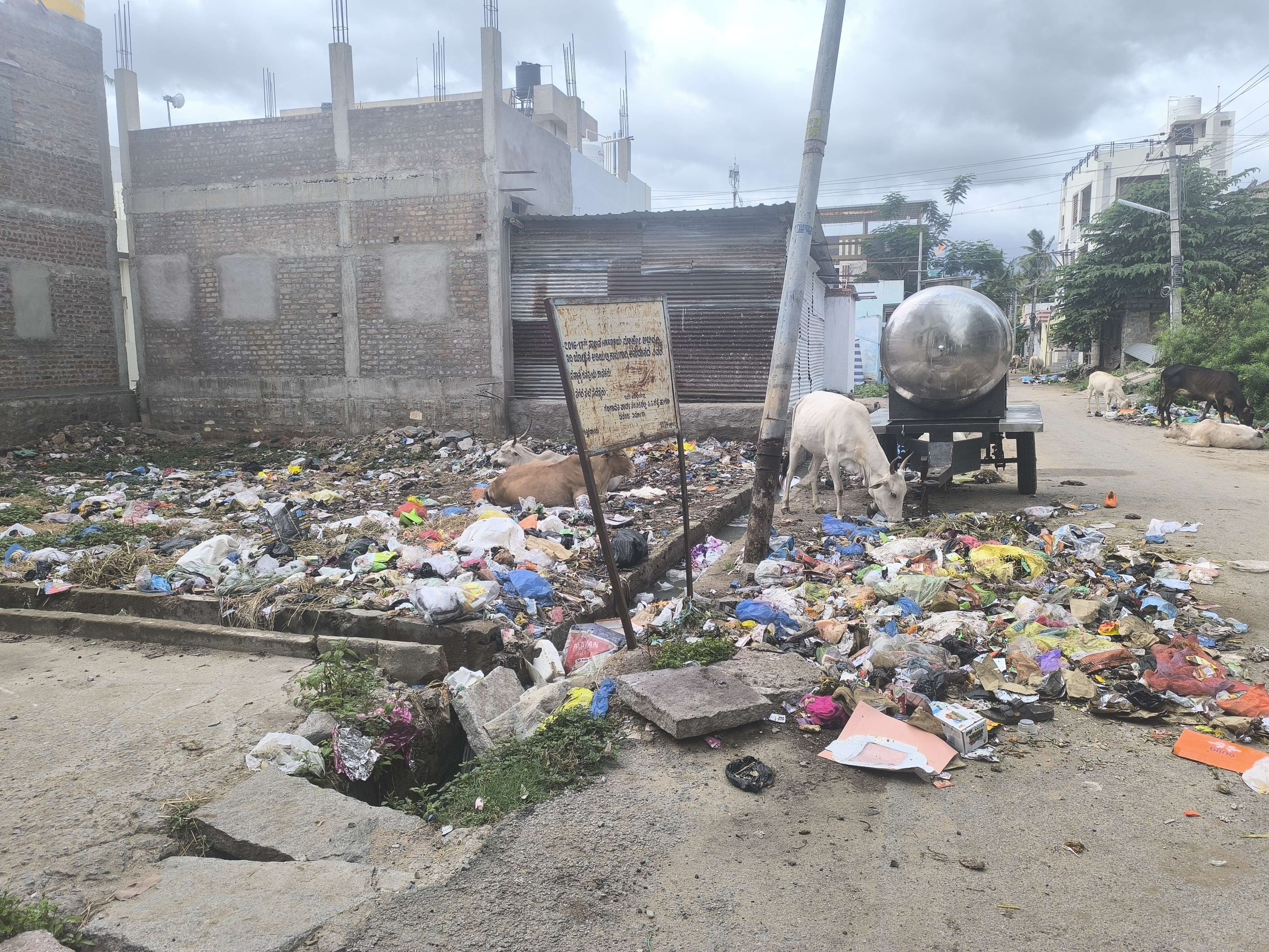 ಕಿಲ್ಲಾ ಏರಿಯಾದ ಖಾಲಿ ನಿವೇಶನದಲ್ಲಿ ತ್ಯಾಜ್ಯ ಸಂಗ್ರಹವಾಗಿದ್ದು ಬಿಡಾಡಿ ದನಗಳ ಹಾವಳಿ ಹೆಚ್ಚಾಗಿದೆ